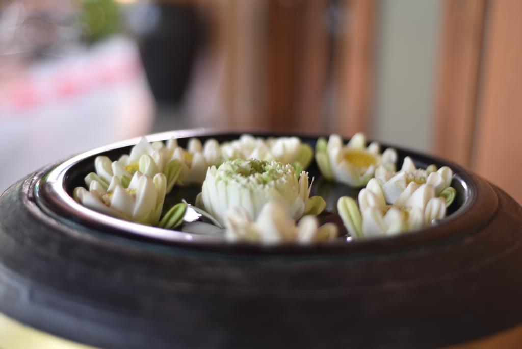 Gloria Angkor Hotel Siem Reap Dış mekan fotoğraf